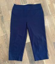 Zac & Rachel Womans Blue Cropped Dress Pants Size 10