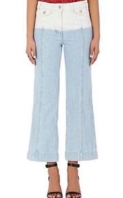 Ulla Johnson Size 4 Blue Pattern Print Mid-Rise Wide Leg Jeans