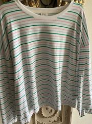 J Crew Sweatshirt Size 2X