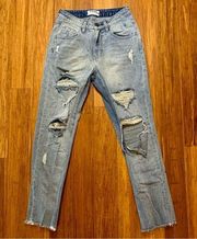 NWOT One X One Teaspoon Super Distressed Jean