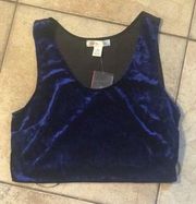 Blue Velvet Crop Top