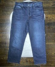 Banana Republic Premium Denim High-Rise Straight Leg Frayed Hem Cutoff Jeans