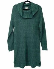 Caslon Green Cowl Neck Tunic Sweater