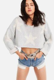 Star-Crossed Star Crop Sweater