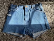 Denim Cut Off Shorts