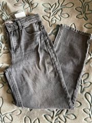 Gray High Rise 90s Jean Jeans