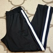 Aerie pull on front pockets navy white side stripe track sweatpants