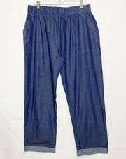 NWT Suzanne Betro Weekend Straight Leg Jeans Pull-On Sz 1X (34x29)