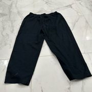 Briggs petite size 12 black pants