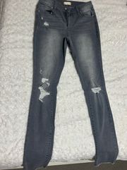 Altrd State Grey Ripped Skinny Jeans