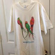 Ladies oversized mazatlan tee xl