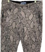 DEMOCRACY Gray Snakeskin Absoltion Jeans