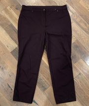 Womens Brown Spandex Pants Size 3X