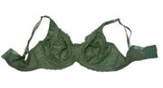 Delta Burke Green Lace Underwire Bra Women's Size 38DD