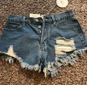 Boutique Blue Jean Shorts