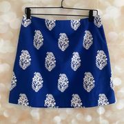 Blue and White Mini Skirt