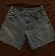 Distressed Vintage Shorts