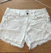 JBD Jean Shorts