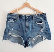 The Mom High Rise Denim Shorts