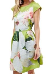 Ted Baker Lynetta Skater Dress in Chatsworth Bloom Floral Size 6