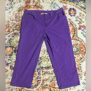 Ruby Road Women’s 14 PURPLE jeans 👖