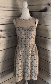 Beige & Black Jewel Neck Dress