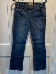 American Rag Cie Bootcut Jeans