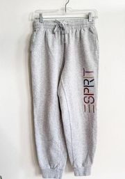 Esprit for Pacsun Gray Sweatpants