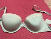 Gilly Hicks light blue bra