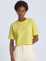 Everlane Organic Cotton Cropped Tee Shirt