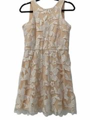 Soieblu Cream & White Floral Lace Sleeveless Dress