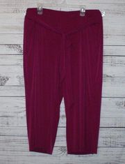 Lane Bryant Wide Leg tie waist Comfy Pants Size 26/28