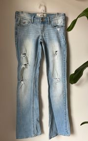 Petite Low Rise Bootcut Jeans