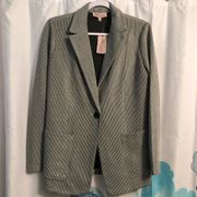 Stretchy pinstripe  blazer