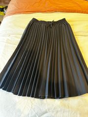 Pleated Skirt