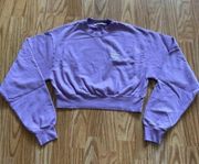 LIVIN COOL EMBROIDERED WAVY CROP LILAC SWEATER S SMALL
