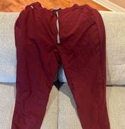 Fig jogger scrub pants