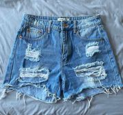 Boutique Shorts