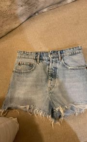 Rose Denim Shorts