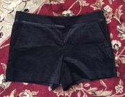 Nwt  women's shorts size 14 color in black