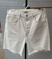 Citizen Shorts