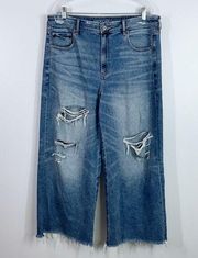 American Eagle  wide leg high waisted plus size jeans size 18 short