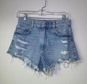 Distressed Denim Shorts Size 1/25