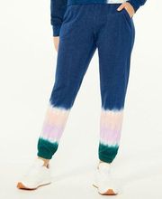 Wildfox Joggers French Terry Size Medium Tie Dye Blue Pink Green