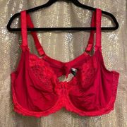 Adore Me Rose Red Zita Unlined Plus Lace Bow Bra 46DD