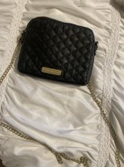 Steve Madden Purse