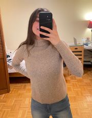 Wool Turtleneck Sweater