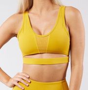 Buffbunny Collection Boo Sports Bra. In Flame. NWT