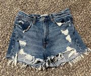 Abercrombie and Fitch Curve Love Mom High Rise Shorts Size 10