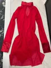 Sheer Stretchy Red Long sleeve Dress